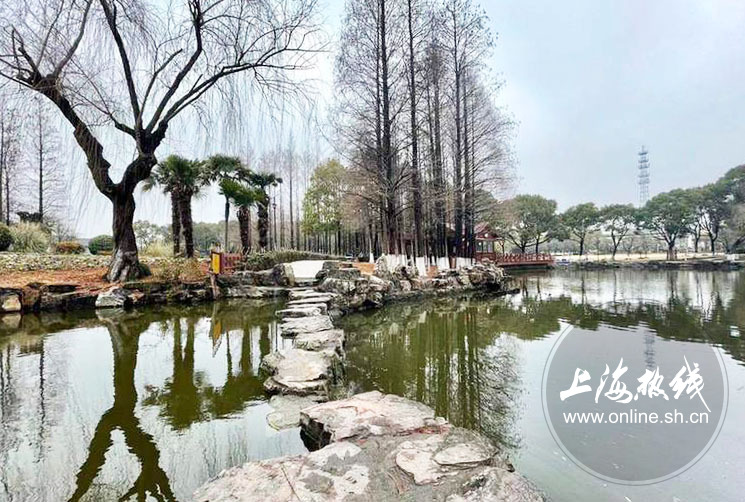 上海泗泾公园图片